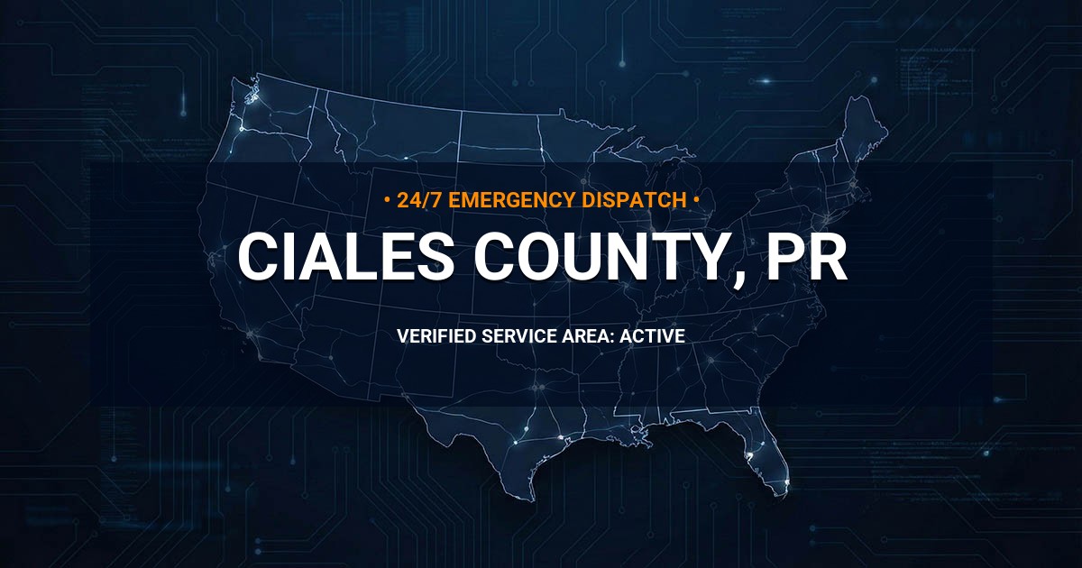 Emergency Plumbing Dispatch Map for Ciales County Plumbing Logistics