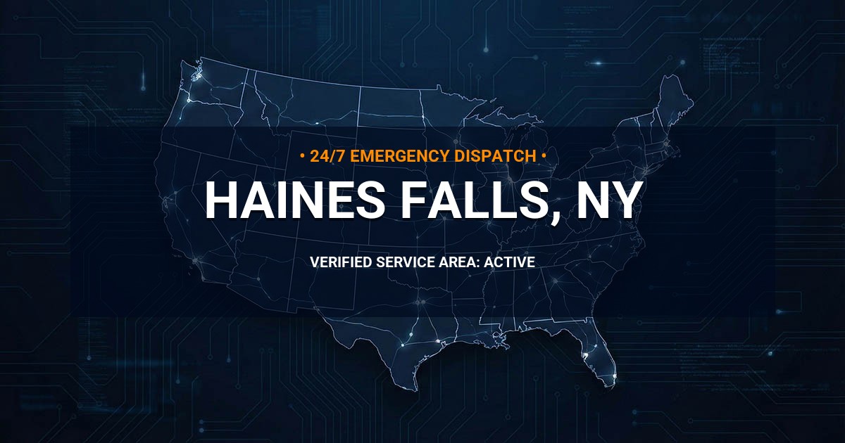 Emergency Plumbing Dispatch Map for Plumbing Services: Haines Falls, NY