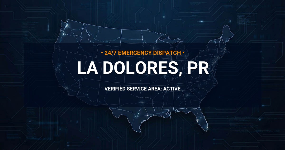 Emergency Plumbing Dispatch Map for Plumbing Services: La Dolores, PR