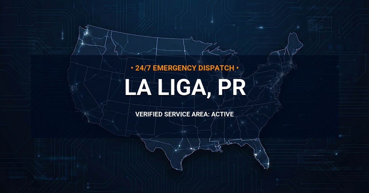 Emergency Plumbing Dispatch Map for Plumbing Services: La Liga, PR