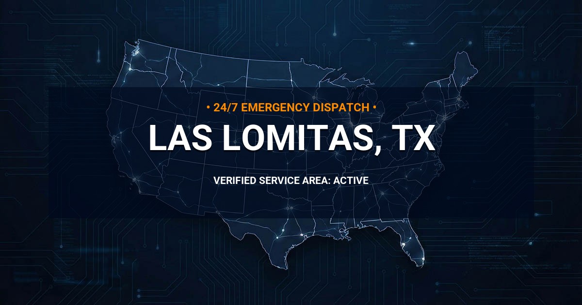 Emergency Plumbing Dispatch Map for Plumbing Services: Las Lomitas, TX