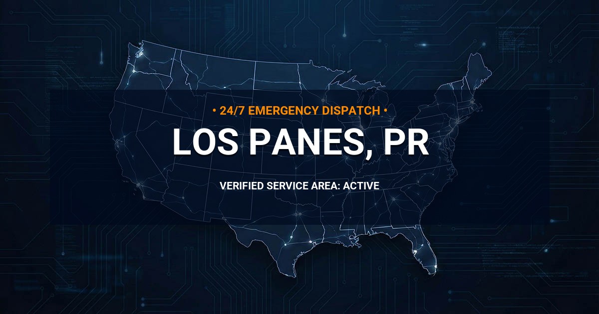 Emergency Plumbing Dispatch Map for Plumbing Services: Los Panes, PR