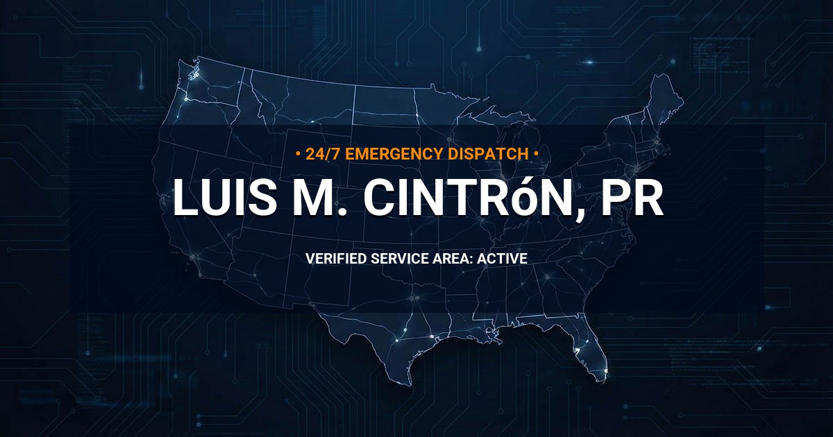 Emergency Plumbing Dispatch Map for Plumbing Services: Luis M. Cintrón, PR