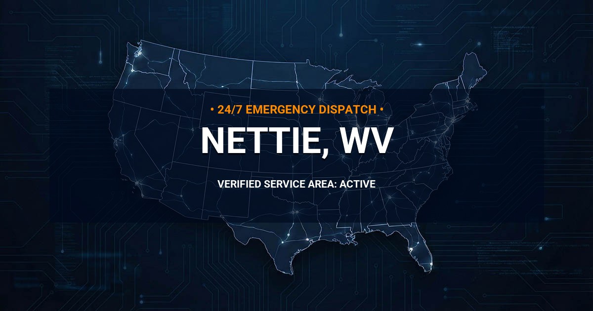 Emergency Plumbing Dispatch Map for Plumbing Services: Nettie, WV