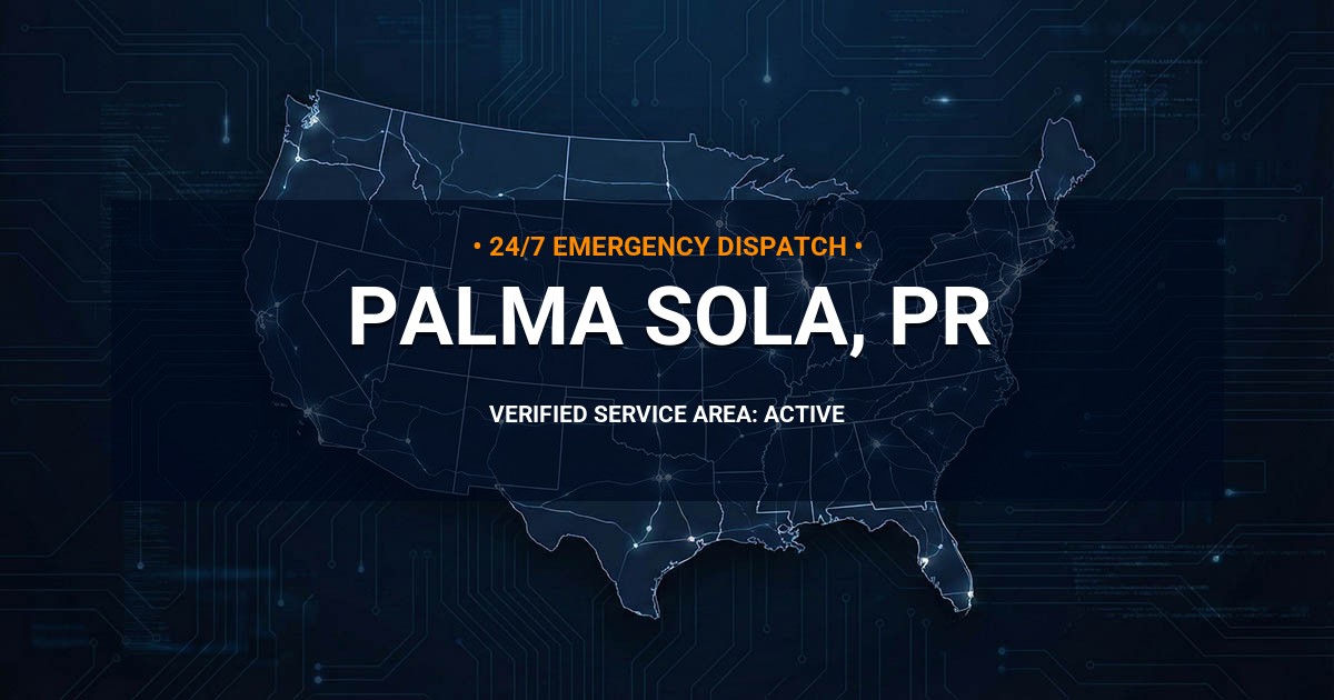 Emergency Plumbing Dispatch Map for Plumbing Services: Palma Sola, PR